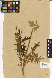 SW_BNB_s3090-04297_IMG-0000000001