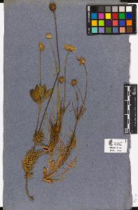 SW_BNB_s3090-04319_IMG-0000000001