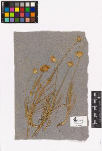 SW_BNB_s3090-04322_IMG-0000000001