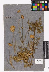 SW_BNB_s3090-04323_IMG-0000000001
