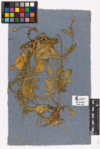 SW_BNB_s3090-04325_IMG-0000000001