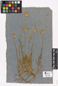 SW_BNB_s3090-04329_IMG-0000000001