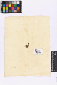 SW_BNB_s3090-04411_IMG-0000000001