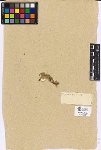SW_BNB_s3090-04452_IMG-0000000001