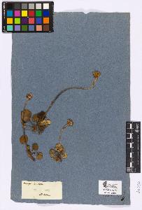 SW_BNB_s3090-04466_IMG-0000000001