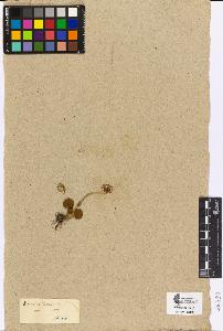 SW_BNB_s3090-04479_IMG-0000000001