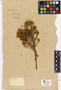 SW_BNB_s3090-04497_IMG-0000000001