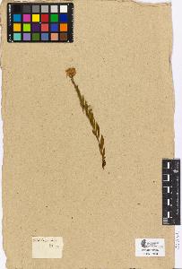 SW_BNB_s3090-04511_IMG-0000000001