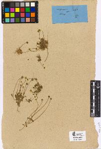 SW_BNB_s3090-04513_IMG-0000000001