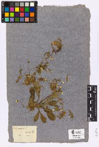 SW_BNB_s3090-04515_IMG-0000000001