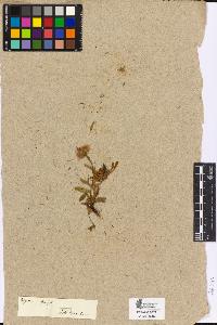 SW_BNB_s3090-04525_IMG-0000000001