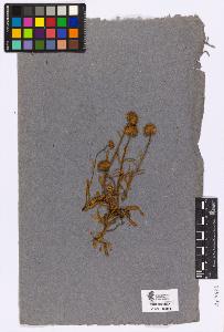 SW_BNB_s3090-04526_IMG-0000000001