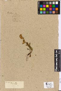 SW_BNB_s3090-04552_IMG-0000000001