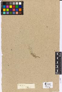 SW_BNB_s3090-04560_IMG-0000000001