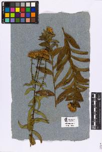 SW_BNB_s3090-04586_IMG-0000000001