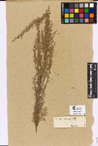 SW_BNB_s3090-04632_IMG-0000000001