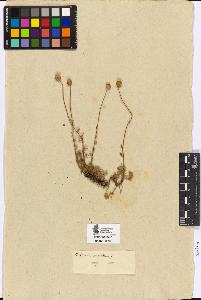 SW_BNB_s3090-04747_IMG-0000000001