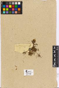SW_BNB_s3090-04781_IMG-0000000001