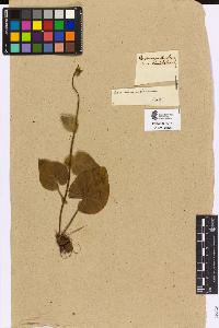 SW_BNB_s3090-04810_IMG-0000000001