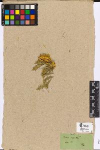 SW_BNB_s3090-04985_IMG-0000000001