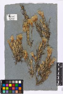 SW_BNB_s3090-05002_IMG-0000000001