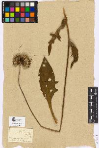 SW_BNB_s3090-05051_IMG-0000000001