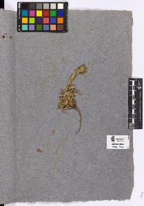 SW_BNB_s3090-05086_IMG-0000000001