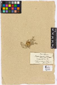 SW_BNB_s3090-05103_IMG-0000000001