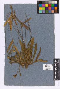 SW_BNB_s3090-05151_IMG-0000000001
