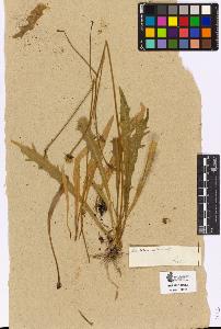 SW_BNB_s3090-05197_IMG-0000000001