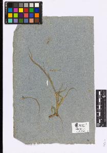 SW_BNB_s3090-05209_IMG-0000000001