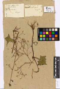 SW_BNB_s3090-05283_IMG-0000000001