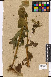 SW_BNB_s3090-05303_IMG-0000000001