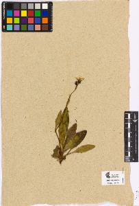 SW_BNB_s3090-05364_IMG-0000000001