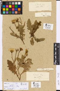 SW_BNB_s3090-05467_IMG-0000000001