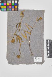 SW_BNB_s3090-05621_IMG-0000000001