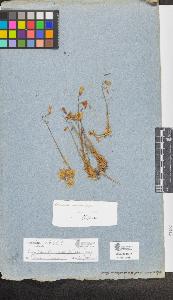 SW_BNB_s3090-05651_IMG-0000000001