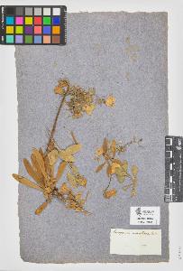 SW_BNB_s3090-05688_IMG-0000000001