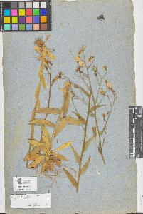 SW_BNB_s3090-05711_IMG-0000000001