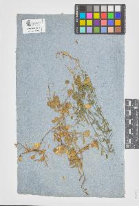SW_BNB_s3090-05720_IMG-0000000001