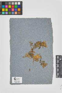SW_BNB_s3090-05721_IMG-0000000001