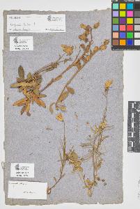 SW_BNB_s3090-05723_IMG-0000000001