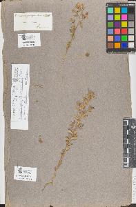 SW_BNB_s3090-05736_IMG-0000000001