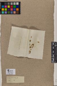 SW_BNB_s3090-05753_IMG-0000000001