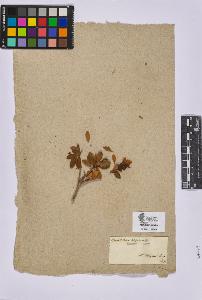 SW_BNB_s3090-05757_IMG-0000000001
