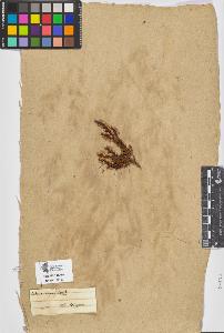 SW_BNB_s3090-05781_IMG-0000000001