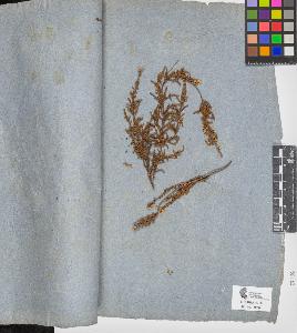 SW_BNB_s3090-05785_IMG-0000000001
