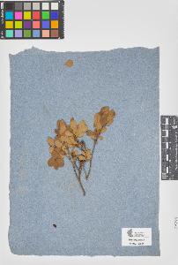 SW_BNB_s3090-05793_IMG-0000000001