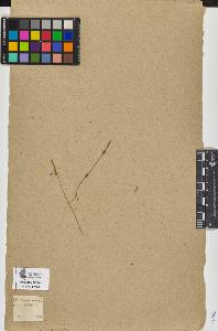 SW_BNB_s3090-05960_IMG-0000000001