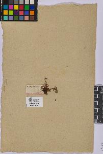 SW_BNB_s3090-06094_IMG-0000000001